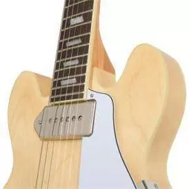 Casino Coupe Hollow Body Guitar - Natural